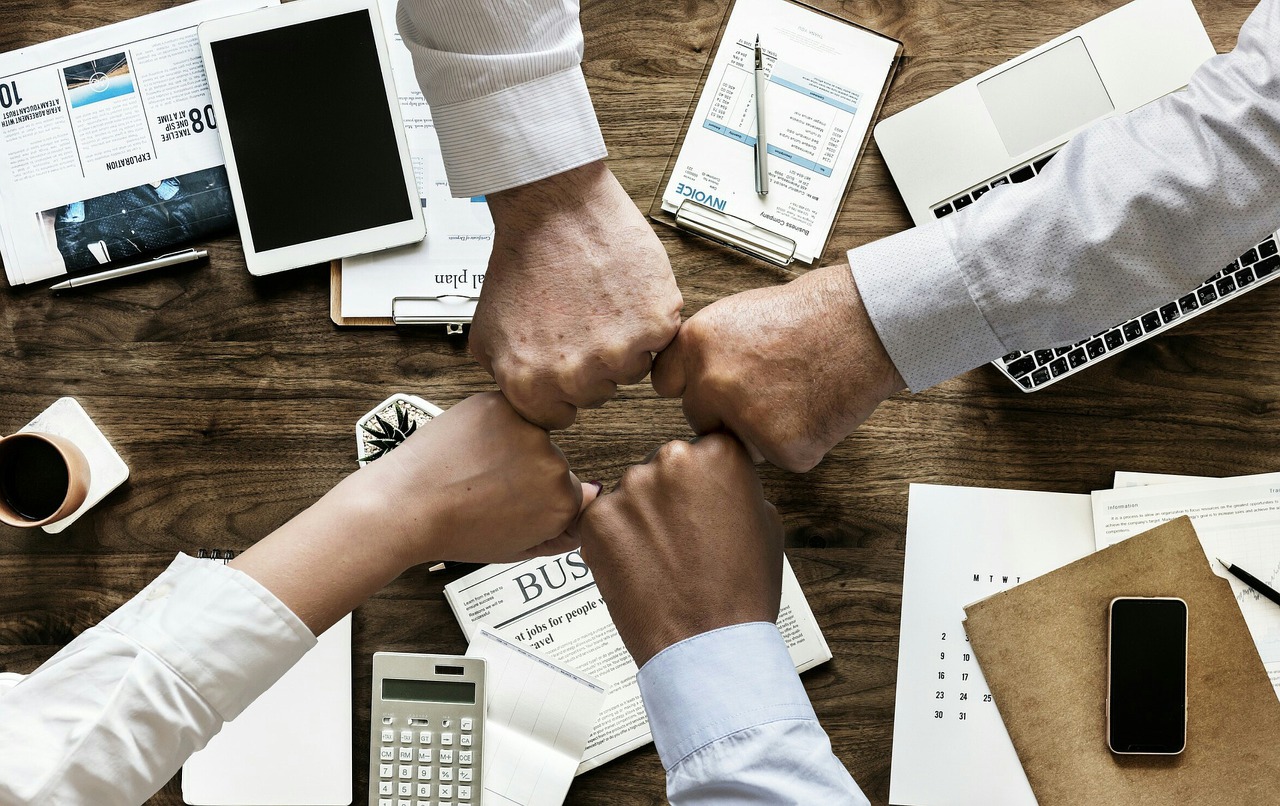 HVG - Partner